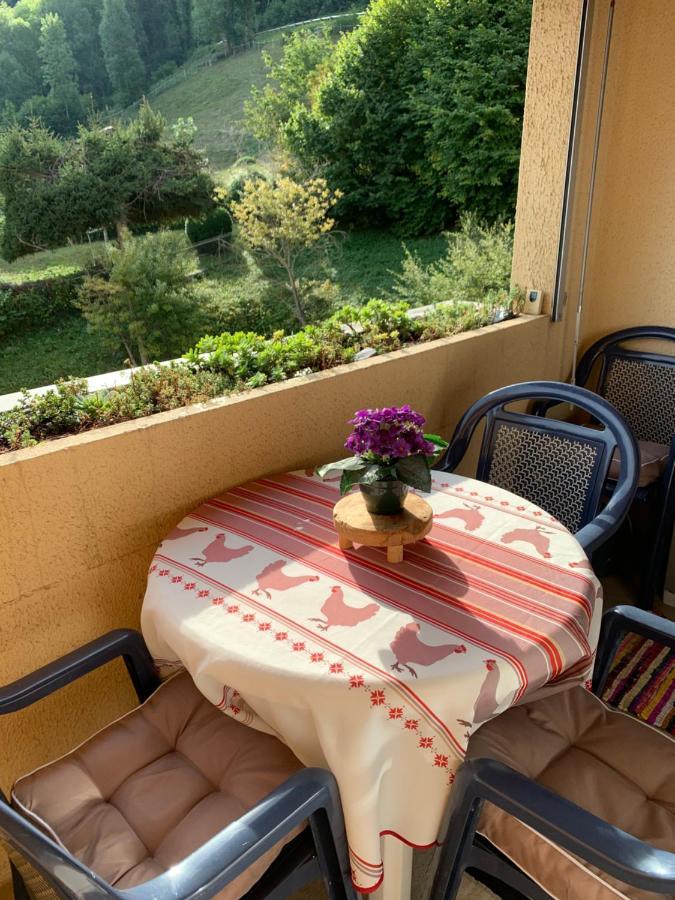 Appartement Vue Montagne Avec Wifi Saint-Lary-Soulan Exteriér fotografie