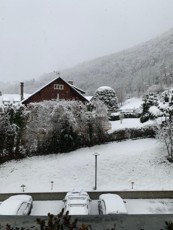 Appartement Vue Montagne Avec Wifi Saint-Lary-Soulan Exteriér fotografie