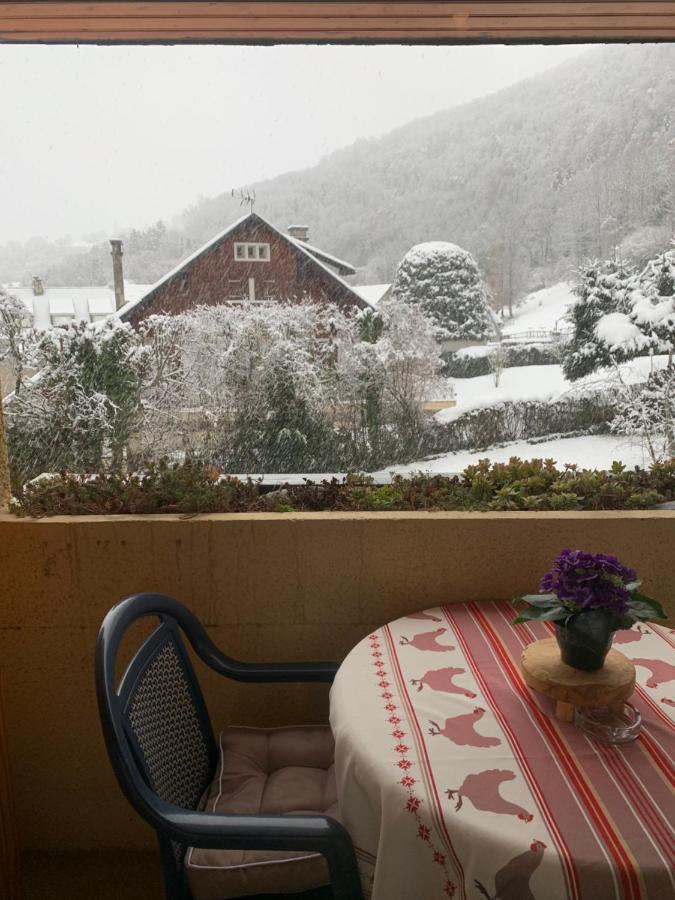 Appartement Vue Montagne Avec Wifi Saint-Lary-Soulan Exteriér fotografie