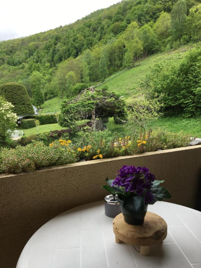 Appartement Vue Montagne Avec Wifi Saint-Lary-Soulan Exteriér fotografie